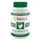 Bioheal Gingko biloba 120 mg + Fokhagyma kivonat 70 db