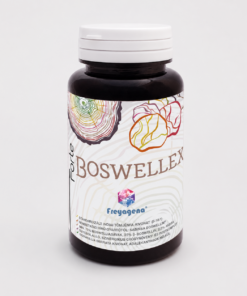 Freyagena Forte Boswellex kapszula 60 db