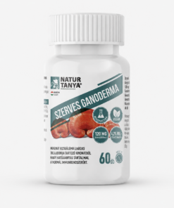 Natur Tanya szerves ganoderma 60db