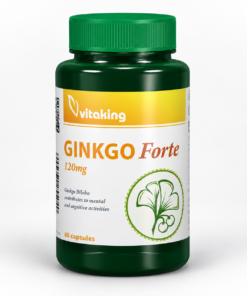Vitaking Ginkgo Biloba Forte 120 mg 60 db